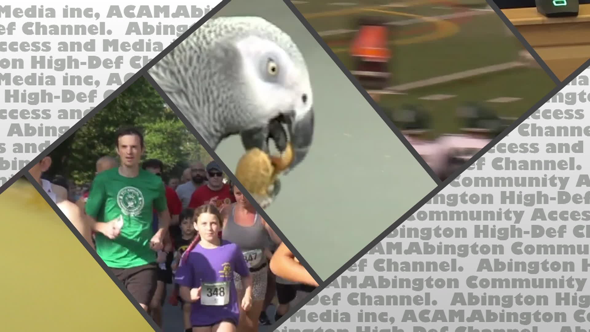 HD Bumper Pompeii v11