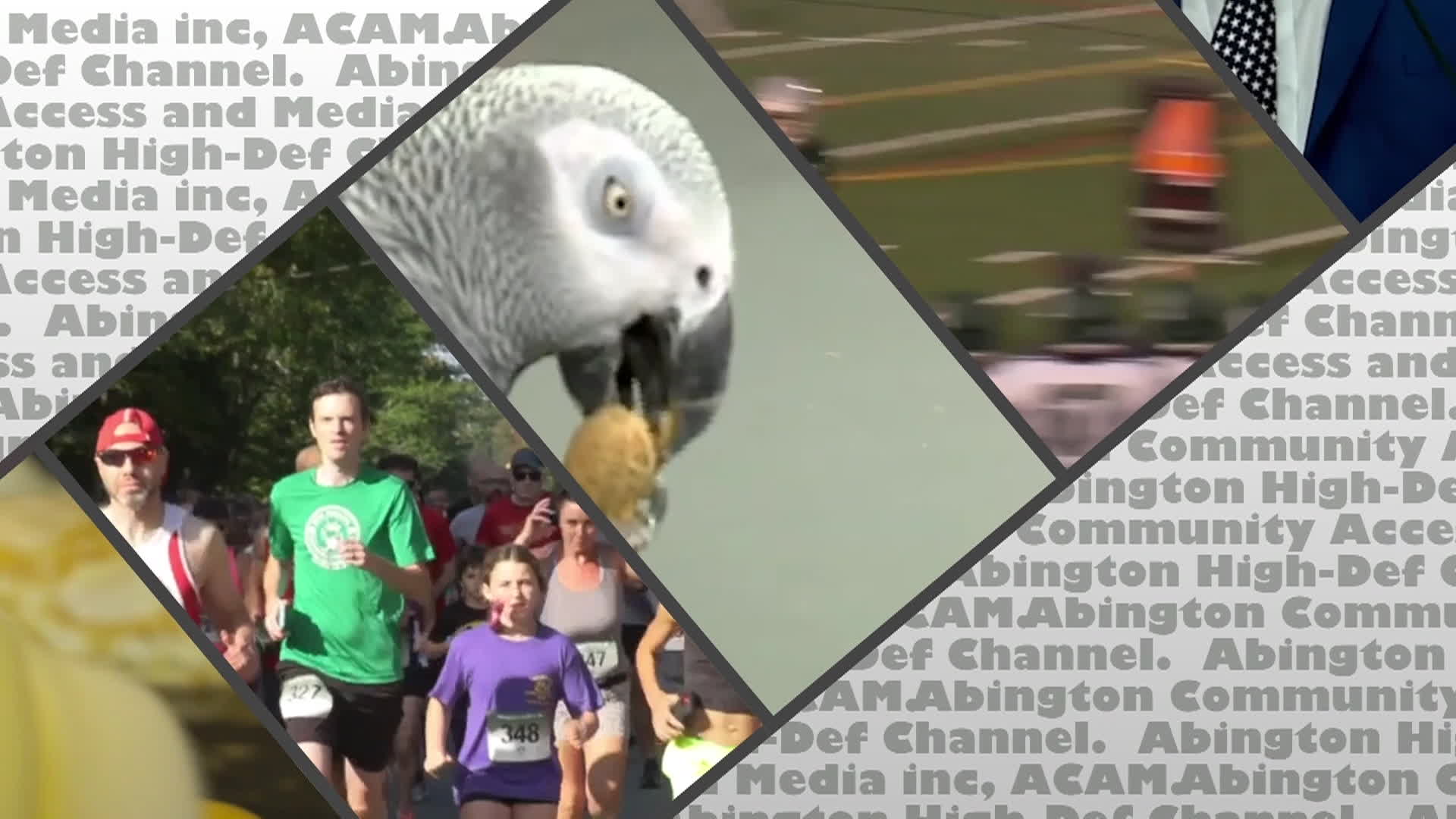 HD Bumper Pompeii v2