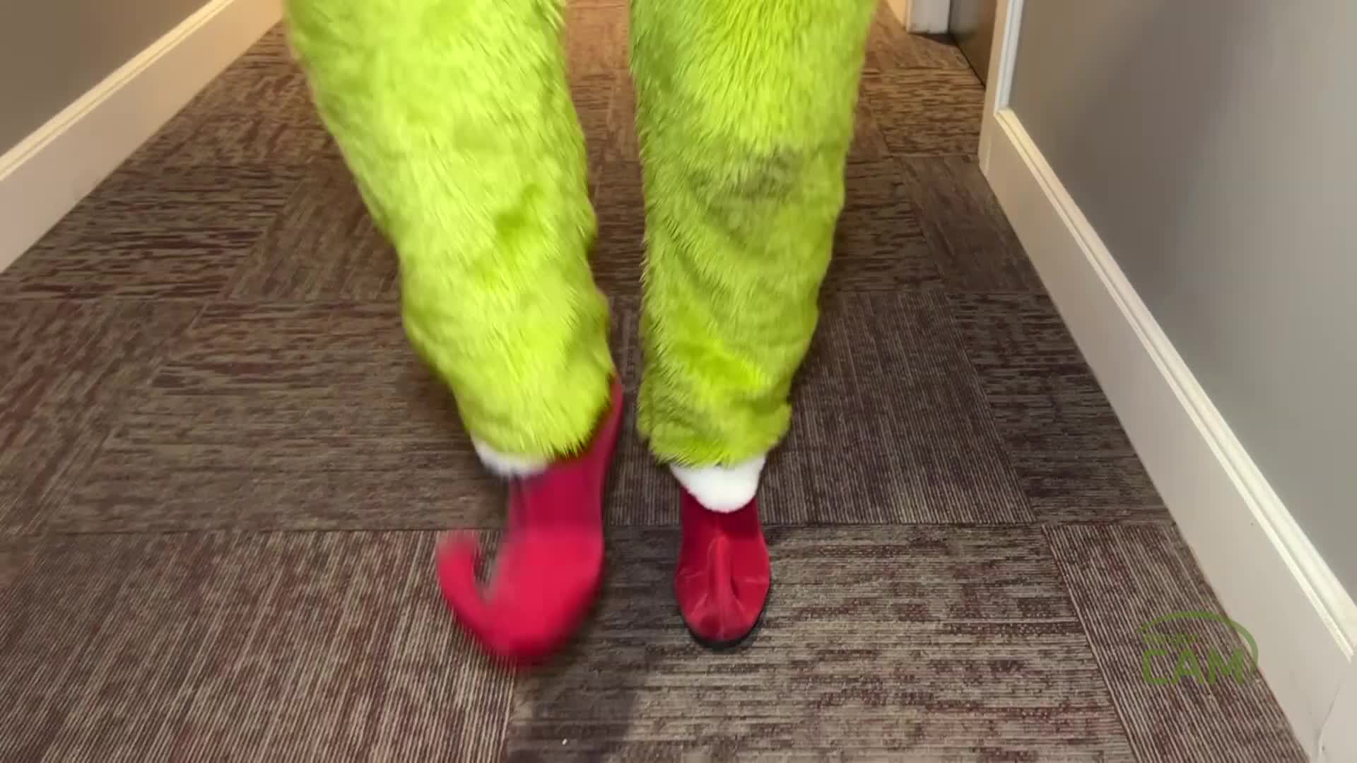 The Grinch and The Veterans Giving Tree 2025