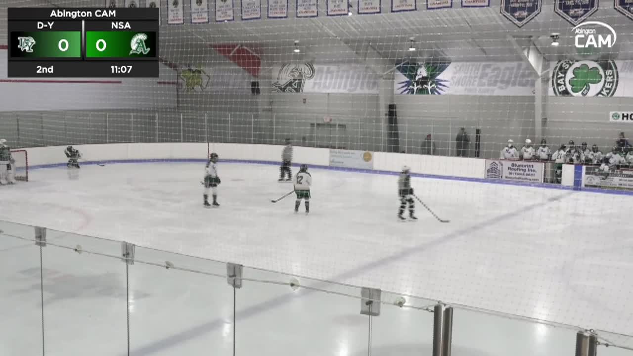 D-Y Dolphins vs NSA Girls Hockey; Jan 17, 2026