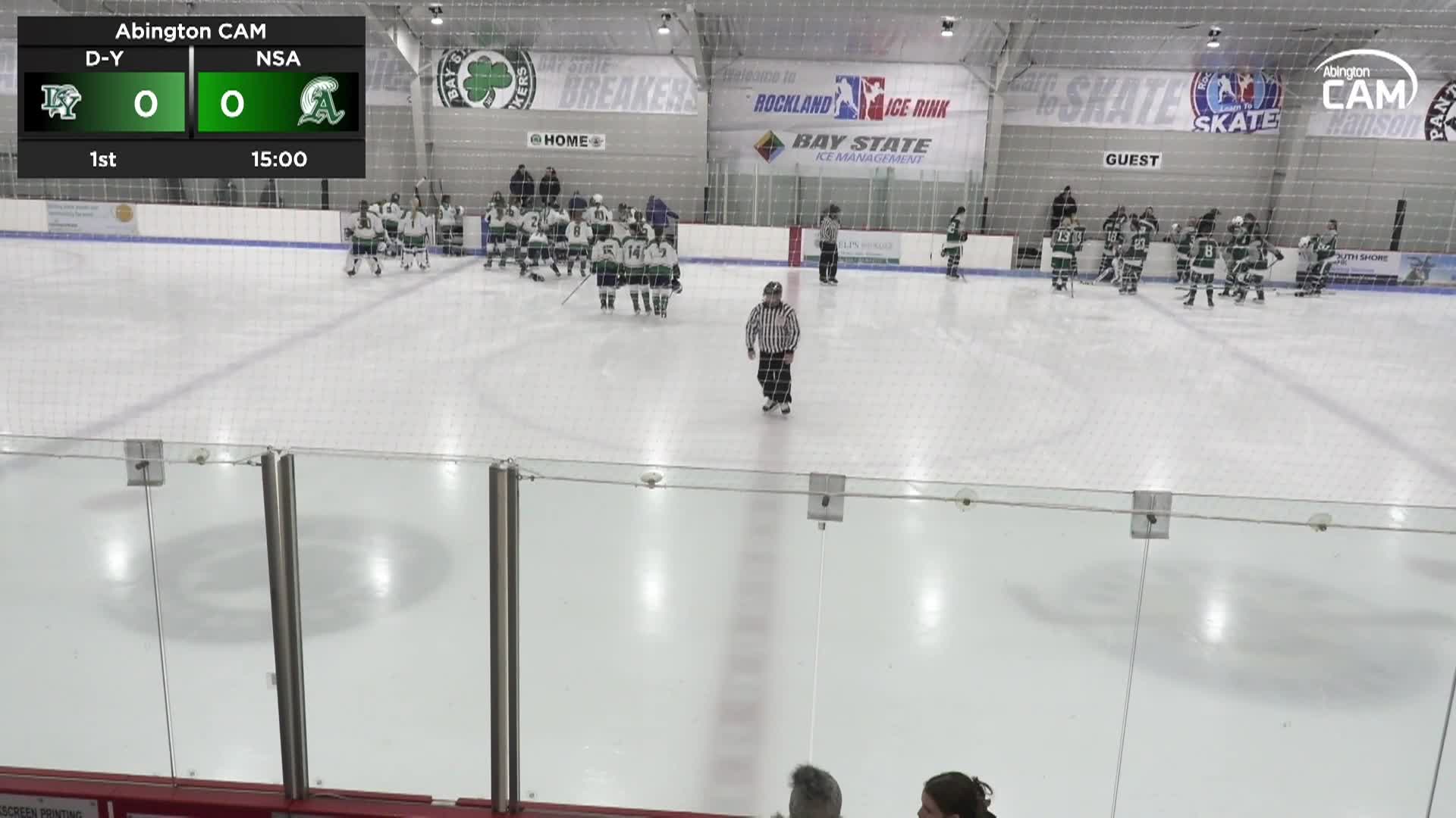 Dennis-Yarmouth Dolphins vs NSA Co-Op Girls Varsity Hockey; January 17, 2026