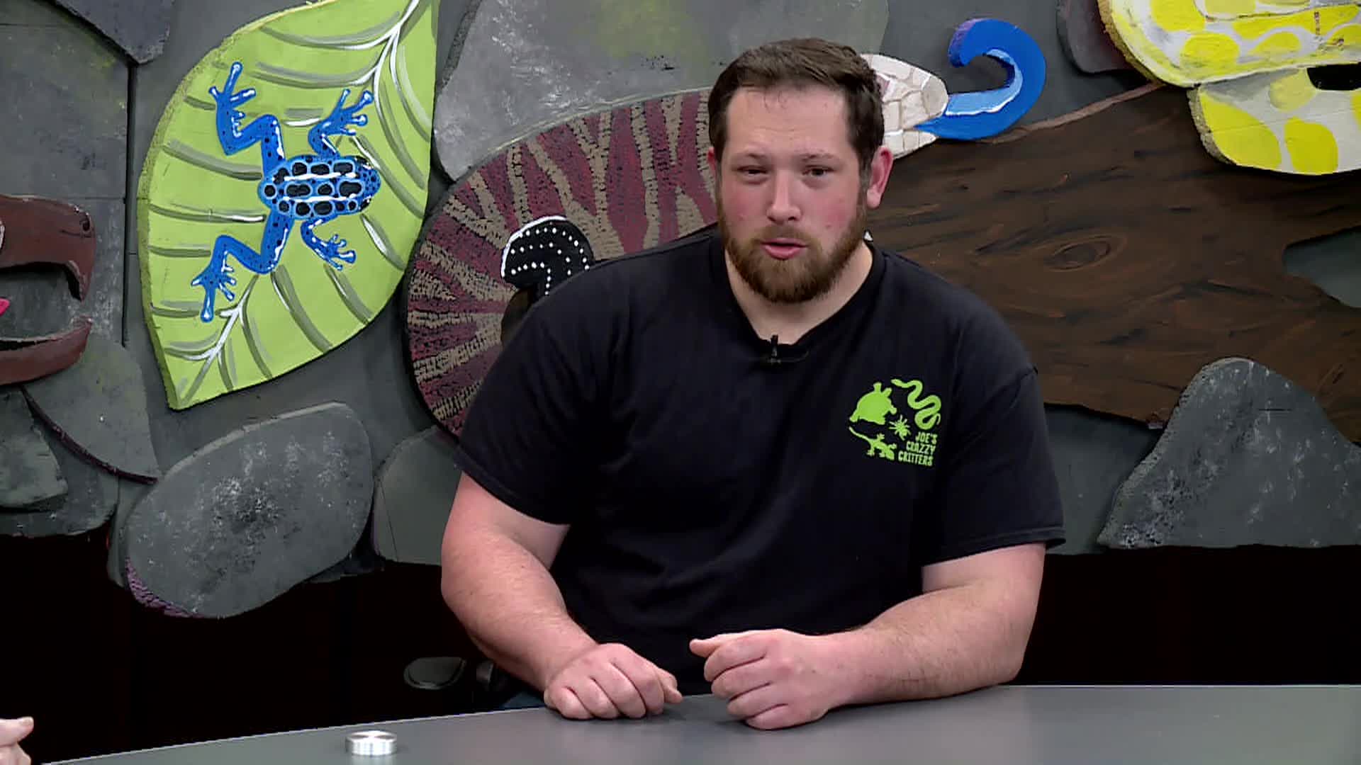 Craz-zy Critters with Joe Kenney - Episode 5 - Alligator Rescue & Whale Watching